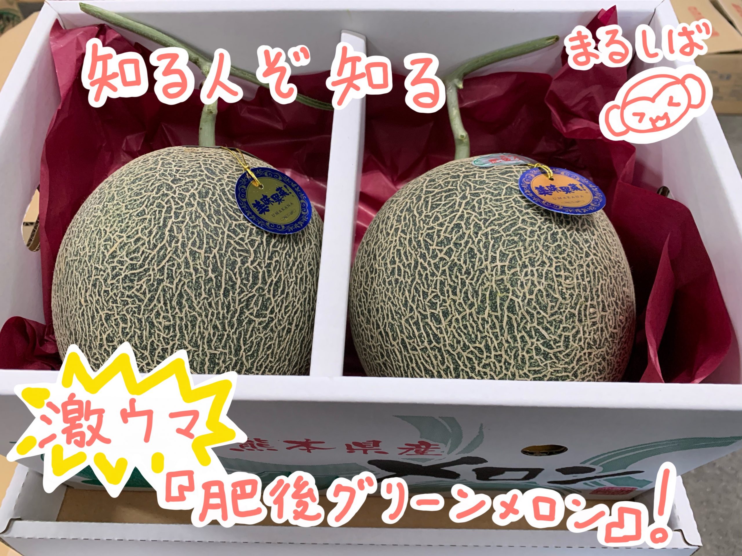 higo_green_melon2